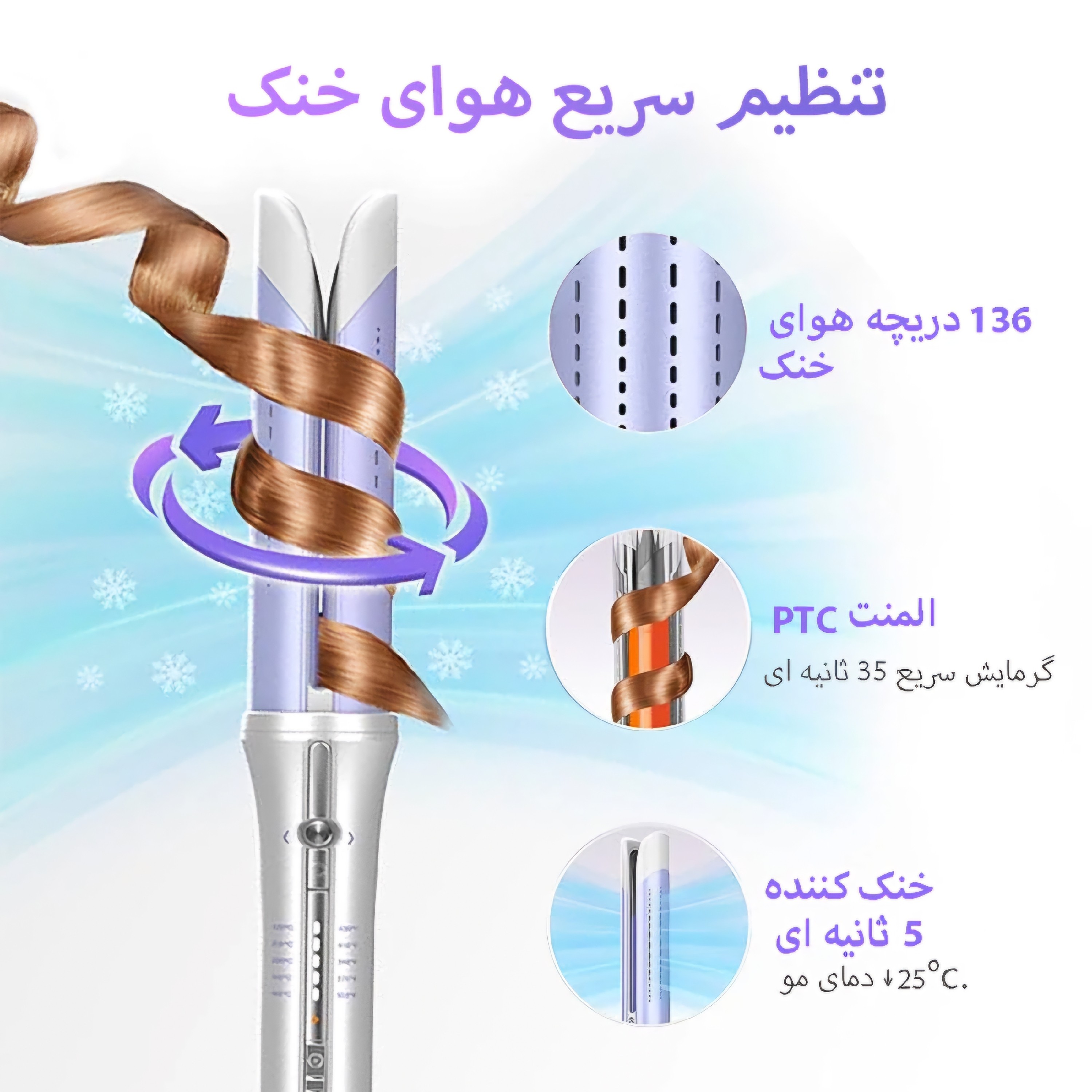 کرلی شیگلم بنفش(باد سرد)