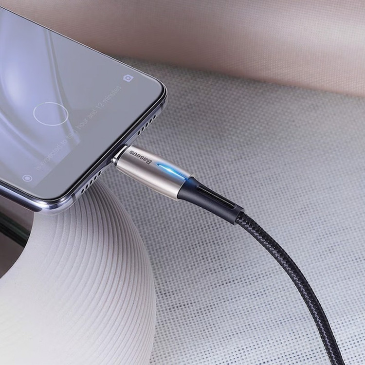 کابل USB-C باسئوس مدل CATSD-K01 طول 2 متر