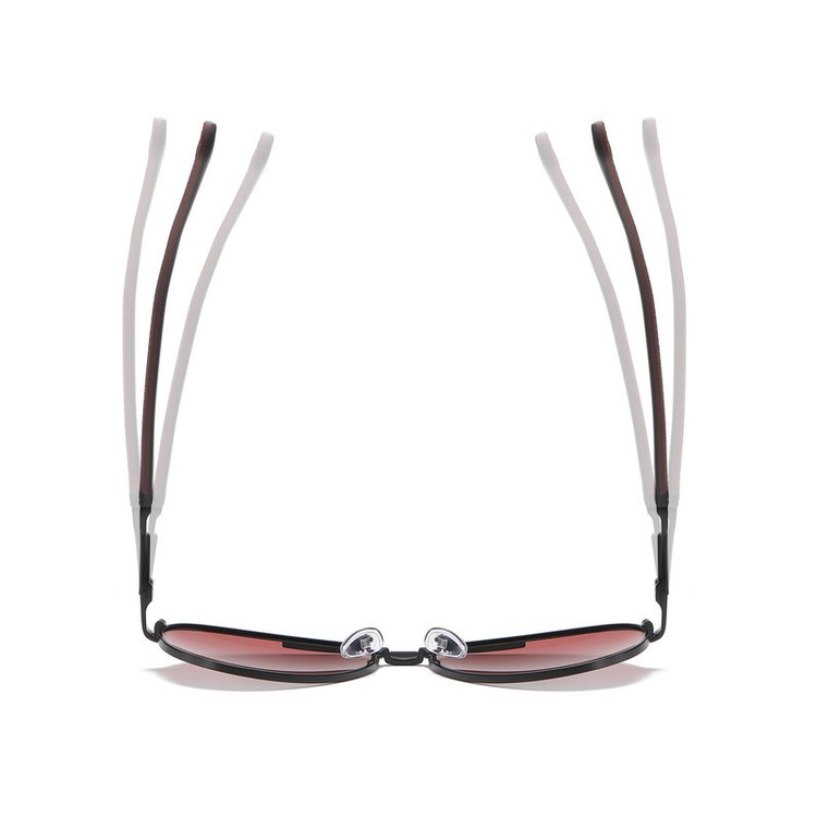 عینک آفتابی مردانه خلبانی آلبرت وگ مدل 6319C04-P141 Polarized Avantgarde Visionary
