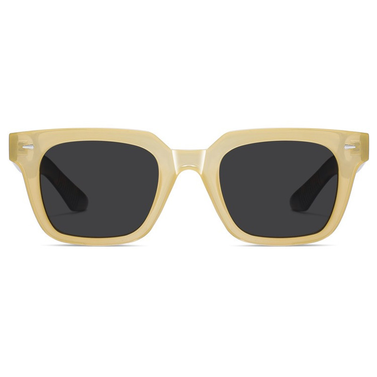 عینک آفتابی ویفرر (Wayfarer) آلبرت وگ مدل S31105C2 Acetate Avantgarde Visionary