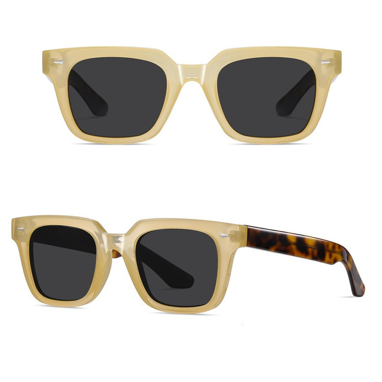 عینک آفتابی ویفرر (Wayfarer) آلبرت وگ مدل S31105C2 Acetate Avantgarde Visionary