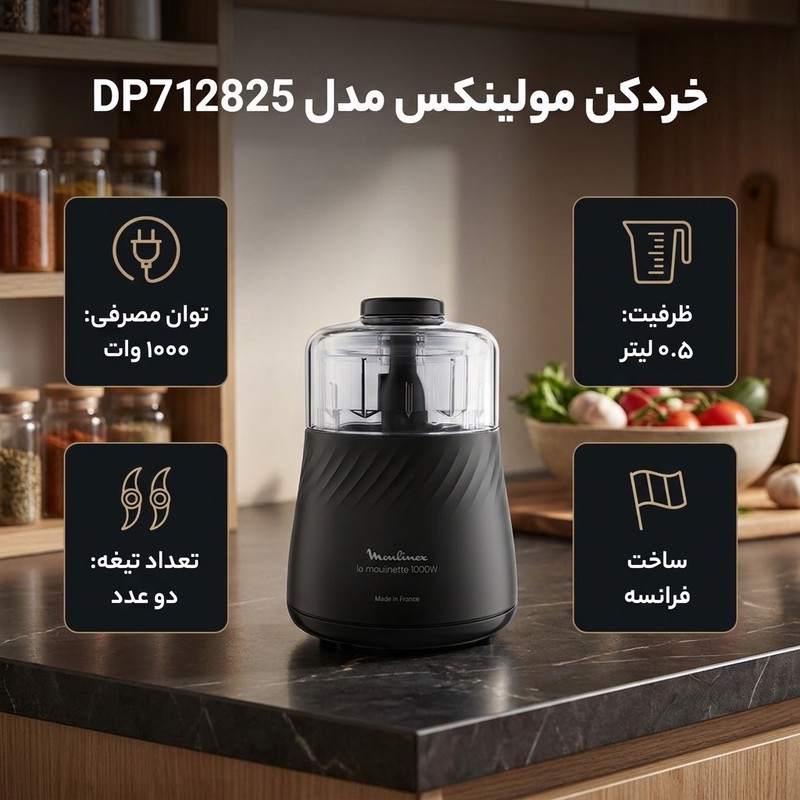 خردکن 0.5 لیتری مولینکس مدل DP712825