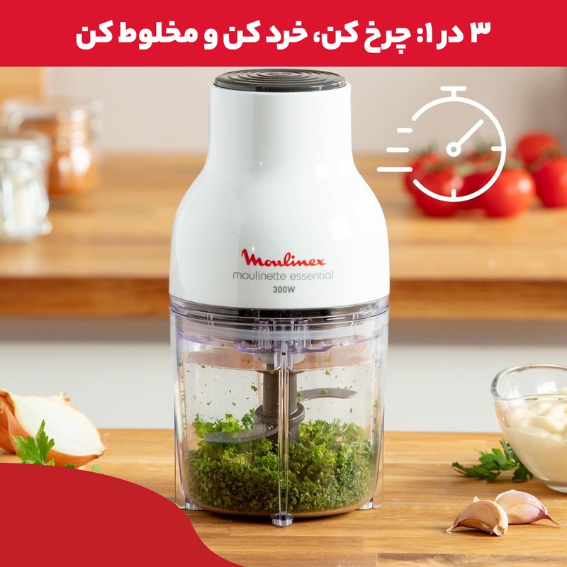 خردکن 0.4 لیتری مولینکس مدل dj520