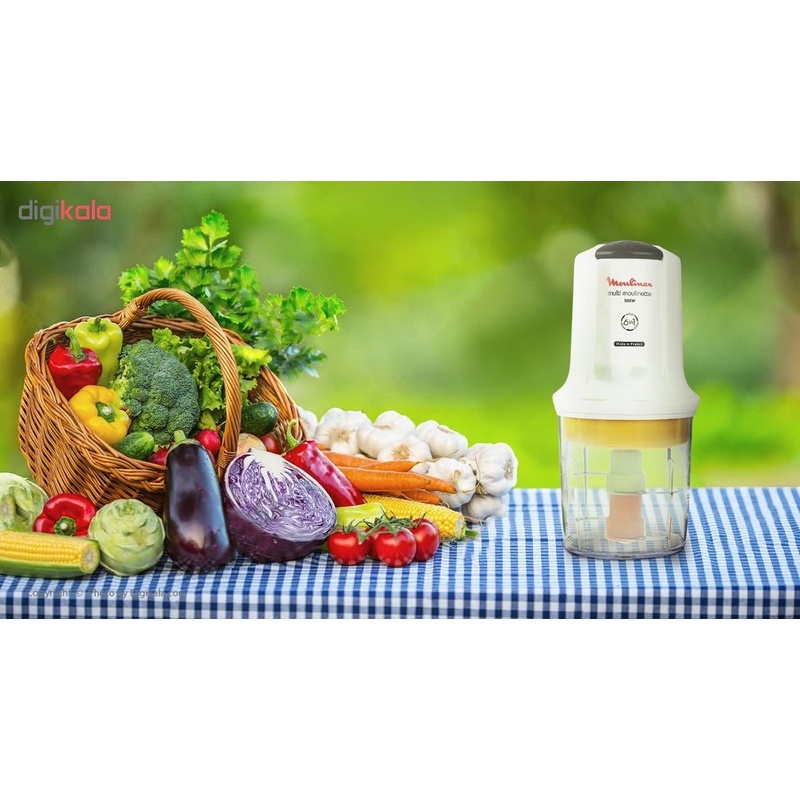 خردکن مولینکس مدل AT723110